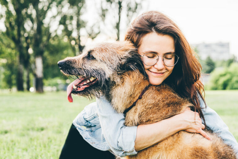Senior Pet Health Care Expert Tips for Golden Years