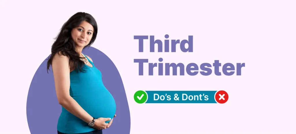 Everything y about the Third Trimester of Pregnancy (weeks 28 to 40)