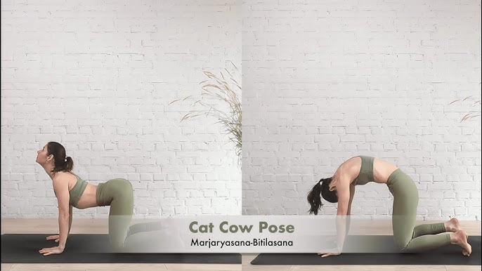 Cat-Cow Pose (Marjaryasana-Bitilasana)