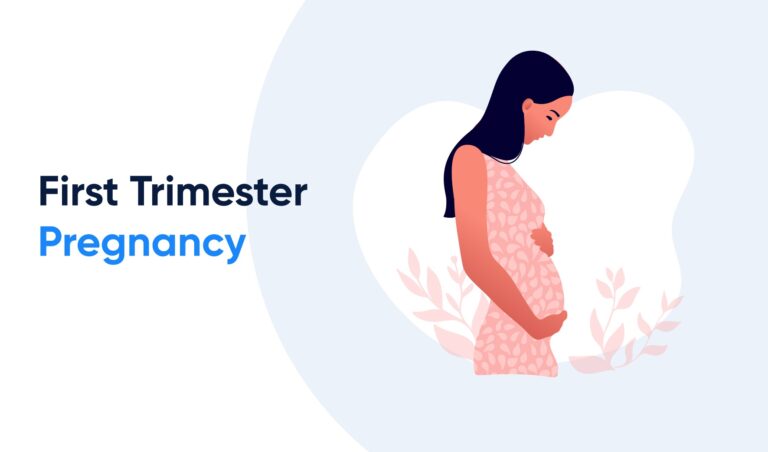 first trimester of pregnancy