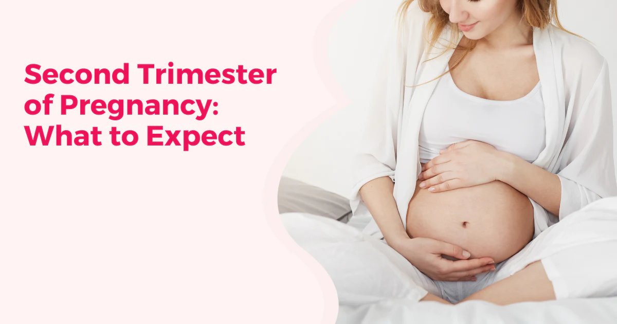 Second Trimester of Pregnancy: What to Expect (13–27)