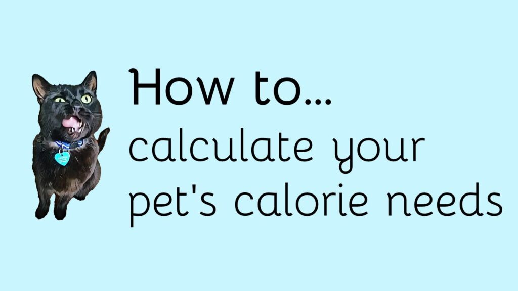 Pet Calorie Calculator: Feed Your Pet the Right Amount