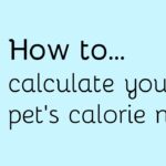 Pet Calorie Calculator: Feed Your Pet the Right Amount
