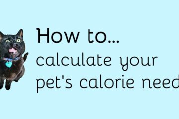 Pet Calorie Calculator: Feed Your Pet the Right Amount