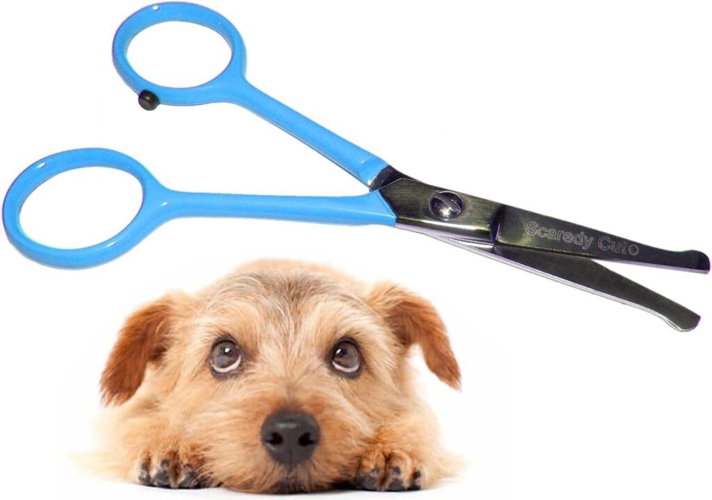 Blunt-tipped scissors for dog grooming