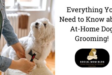 The Complete Guide to Grooming Your Dog at Home | All Breeds & Coats