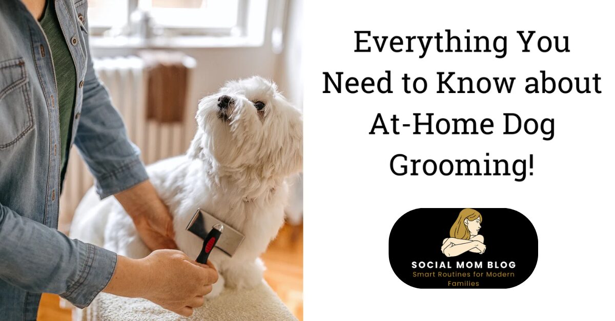 The Complete Guide to Grooming Your Dog at Home | All Breeds & Coats