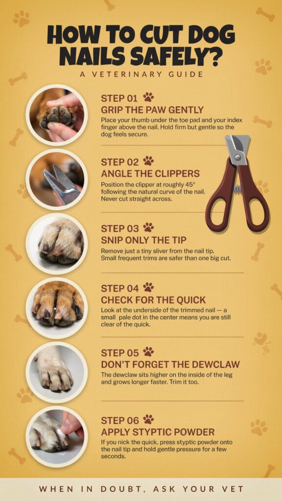 How to Trim Dog Nails at Home.